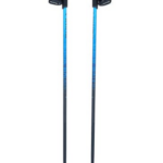 Bâtons de marche nordique Viking Pro-Trainer bleu 110