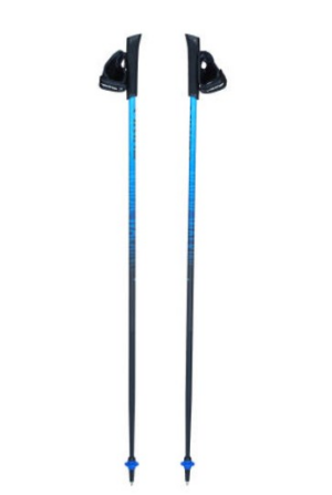 Bâtons de marche nordique Viking Pro-Trainer bleu 110