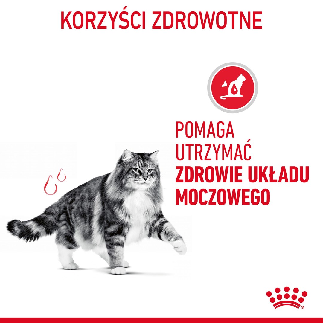 V1B7z6G4a0J0A1y7j3i2L2K8l4m2g5h7