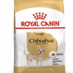 ROYAL CANIN BHN Chihuahua Adult dry dog food - 1.5 kg