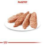 ROYAL CANIN Exigent Aliments humides pour chiens Pâté 12x85 g