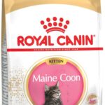 ROYAL CANIN Maine Coon Kitten - aliments secs pour chatons - 2 kg