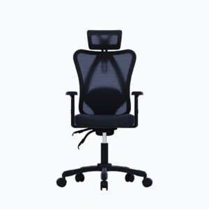 Gembird OC-ONYX Chaise de bureau "Onyx", noir
