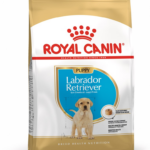 ROYAL CANIN SHN Breed Labrador Junior croquettes pour chien - 12 kg.