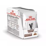 ROYAL CANIN Gastrointestinal - nourriture humide pour chat - 12 x 85g