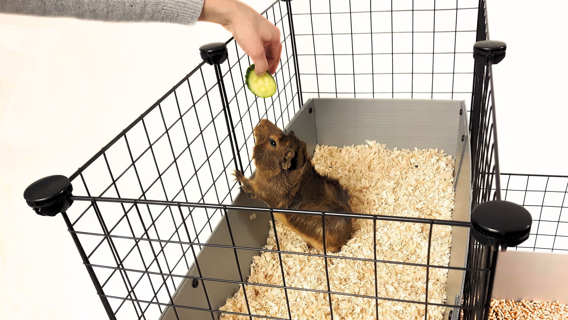 X9E7C7D9r0Z0k147i400W5O5E6H6z637