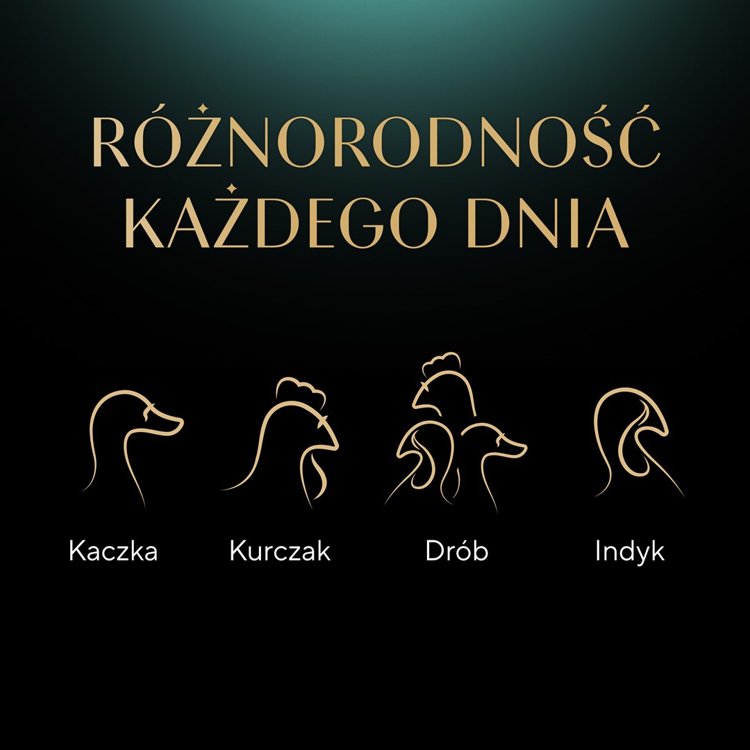 Y2M4B7U6p0O0D1a7J2I000I9Q6g2l559