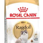 ROYAL CANIN Ragdoll FBN Adult - aliments secs pour chatons - 400g
