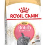 Royal Canin British Shorthair Kitten croquette pour chat 2 kg Chatons Volaille, Riz, Légumes