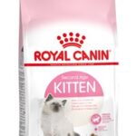 Royal Canin Kitten croquette pour chat 10 kg Chatons