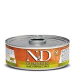 FARMINA N&D CAT BOAR & PUMPKIN & APPLE 70g