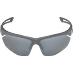 Alpina Nylos HR Lunettes de soleil cat. 3 Gris