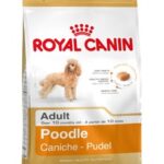 Royal Canin Poodle Adult 1,5 kg