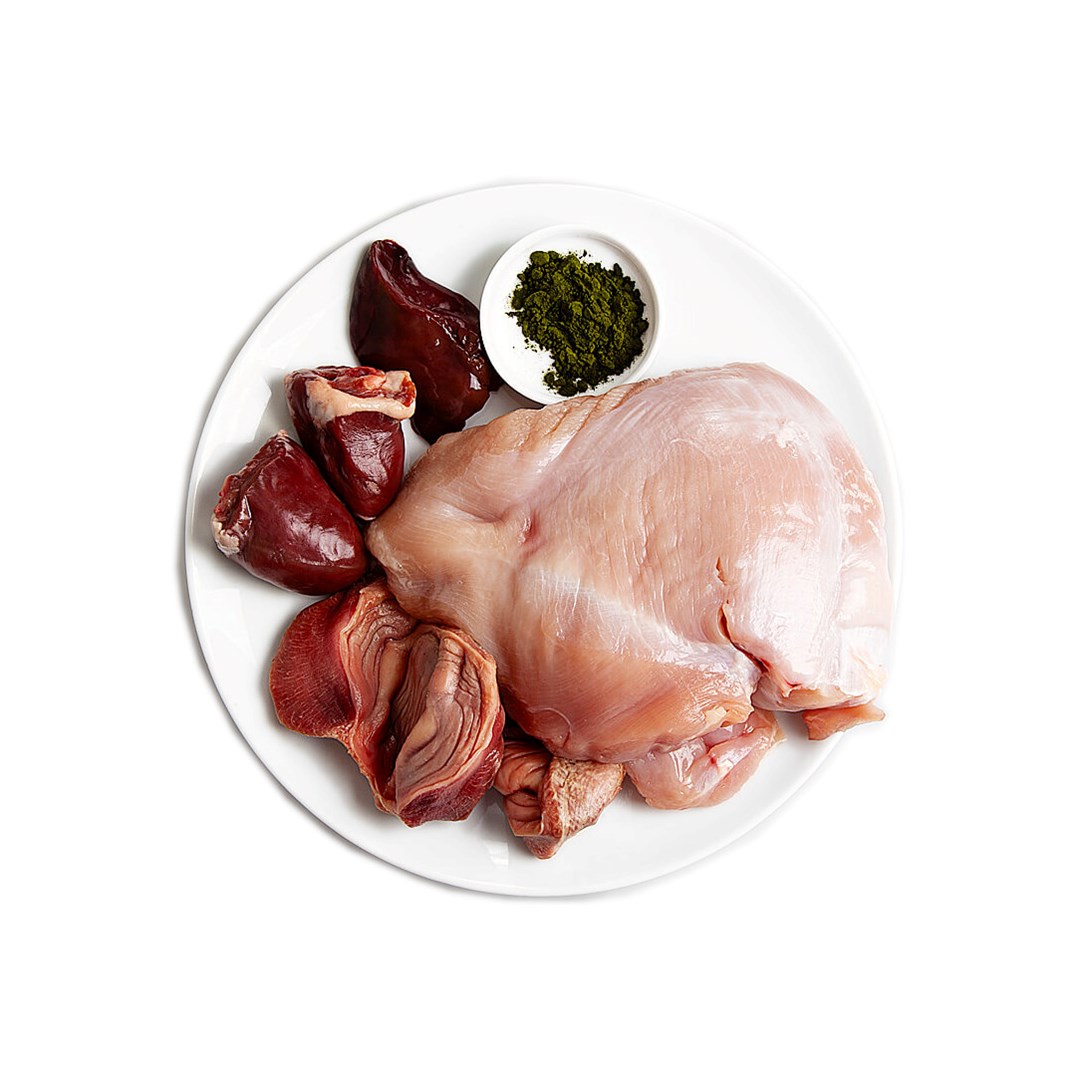 C1T1X0d1v01041k7G4n9p4t5e012H1k6