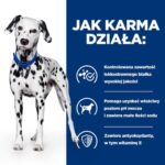 HILL'S PRESCRIPTION DIET Urinary Care Canine u/d Aliments secs pour chiens 10 kg
