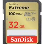 Western Digital SDSDXVV-512G-GNCIN mémoire flash 512 Go SDHC Classe 10