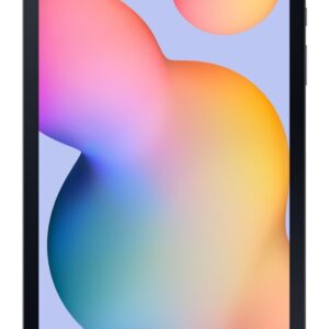 Samsung Galaxy Tab S6 Lite (2024) LTE 4G Samsung Exynos LTE-TDD & LTE-FDD 64 Go 26,4 cm (10.4") 4 Go Wi-Fi 5 (802.11ac) Gris