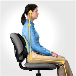 Coussin de soutien dorsal professionnel Fellowes Ergonomics