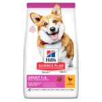 HILL'S Science Plan Adult Small & Mini - aliments secs pour chiens - 6 kg