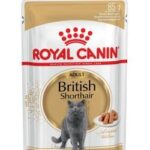 ROYAL CANIN British Shorthair paquet 12x85g
