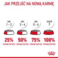 A9O3g5g1K090c1e7k3A2f2h8e2e323I6