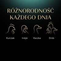 K6U6j4T9l0U0E1U7J2n219u3L3J3q164